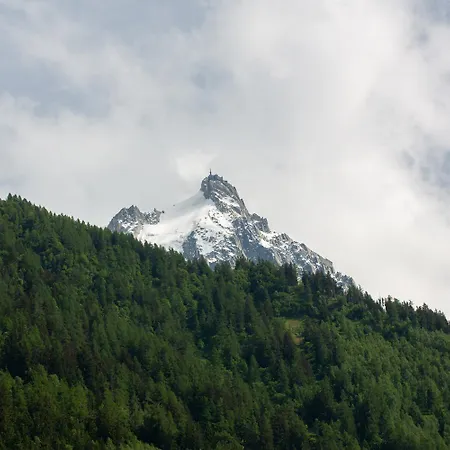 Les Barrats - Duplex - - Vue Mont-blanc Apartman *